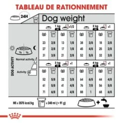 ROYAL CANIN X-Small Sterilised 1,5 kg 13 ROYAL CANIN X-Small Sterilised 1,5 kg -Meilleure Animalerie 59273792e4d14f947cd035eeef9d873bac5e3bd1 6119bf71ca6b100aa9491a0157799b8adc12a22e