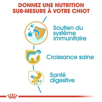 ROYAL CANIN Jack Russell Terrier Chiot Croquettes Chien 1,5 Kg 4 ROYAL CANIN Jack Russell Terrier Chiot Croquettes Chien 1,5 Kg – Image 2