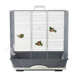 Savic Cage De Transport Pour Oiseaux Primo 40 8 Savic Cage De Transport Pour Oiseaux Primo 40 -Meilleure Animalerie 59e86ce78101f4832adb5f83b8ca56a73e62ea75 42fcb9947724a730039244485b4d3f07b4c79143