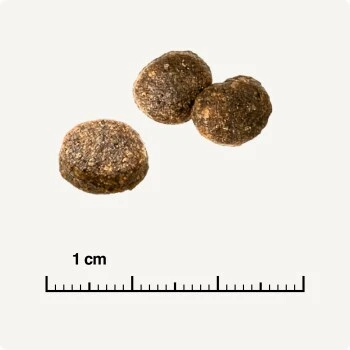 REAL NATURE WILDERNESS Adulte Pure Chicken 7 Kg 8 REAL NATURE WILDERNESS Adulte Pure Chicken 7 Kg – Image 6