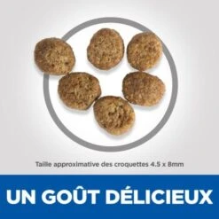 Hill's Science Plan Adult Perfect Weight Avec Du Poulet 2,5 Kg 16 Hill's Science Plan Adult Perfect Weight Avec Du Poulet 2,5 Kg -Meilleure Animalerie 5c81180f508488b10f13c611cc0bed2dc0a47047 1322208 fr FR Hills Perfect Weight 6