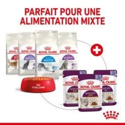 ROYAL CANIN Sensory Smell Nourriture Humide Chat 12 X 85 G 16 ROYAL CANIN Sensory Smell Nourriture Humide Chat 12 X 85 G -Meilleure Animalerie 5da960c3649e43923448c52b6c9efdf462d7ddc8 1368001 fr FR smelljelly 5