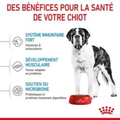 ROYAL CANIN Giant Junior Croquettes Chien 15 Kg 17 ROYAL CANIN Giant Junior Croquettes Chien 15 Kg -Meilleure Animalerie 5f2704a2fd4839574dcc762591fefee1a2d8ca22 1003112009 fr FR giantjun 16 Kopie