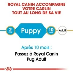 ROYAL CANIN Carlin Chiot Croquettes Chien 1,5 Kg -Meilleure Animalerie 5f8af3afb35c206038fa16e0af6cfbc5361eb1bc 1082869 fr FR pugpup 2