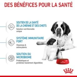 ROYAL CANIN Giant Starter Croquettes Chien 15 kg -Meilleure Animalerie 6164896f646379cfda8f8786572d6bd8b70badda 1082865 fr FR giantstarter 5