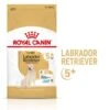 ROYAL CANIN Labrador Retriever Adulte 5+ Croquettes Chien 3 Kg -Meilleure Animalerie 62252929b4fe62f020a95aa0b5e8b96056f41cbc 1332700 fr FR lab5 1 Kopie