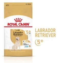 ROYAL CANIN Labrador Retriever Adulte 5+ Croquettes Chien 3 Kg