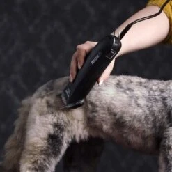 Moser Tondeuse Max45 Avec ASK -Meilleure Animalerie 65133088ba136d425f35dd483b34ae61c5e8b1c4 080d5e15fa2a49473a689925f30b8711ef011135