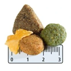 MultiFit Adult Pour Chien 12 Kg -Meilleure Animalerie 6549a5414d8f37551c0c97587835863f3453fcd7 e2a5a160d981aa738695cc6f611f853ed2038c2e