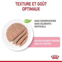 ROYAL CANIN Chaton Nourriture Humide Chat 12 X 85 G Pâté / Terrine / Mousse -Meilleure Animalerie 66087bcd1392dd87e28c61e85d534a8f4f67c718 1378730 fr FR kittenloaf 2