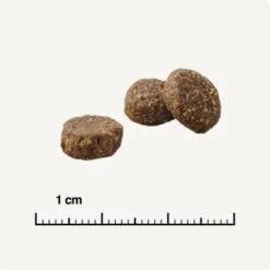 REAL NATURE Original Adult 2 Kg Lapin Et Poulet -Meilleure Animalerie 66275984ec70159507e68c3c20eba756040e26f9 1350195 de DE 6