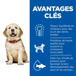 Hill's Science Plan Puppy Large Breed 14,5 Kg 13 Hill's Science Plan Puppy Large Breed 14,5 Kg -Meilleure Animalerie 66724310fe214d90c46bf583781bf0ae71940909 52742026084 4