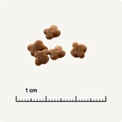 SELECT GOLD Babycat & Mother Volaille Au Riz 3 Kg 10 SELECT GOLD Babycat & Mother Volaille Au Riz 3 Kg -Meilleure Animalerie 66ea1358bef392b59767c05c9aff015b5d9a24b7 1081823015 de DE 6