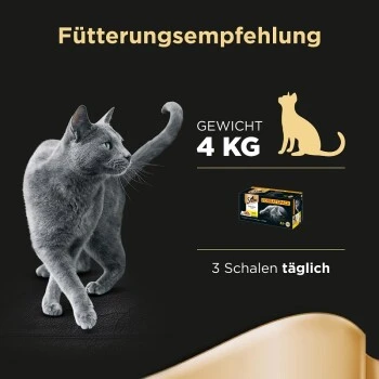 Sheba Selection En Sauce 32 X 85 G 4 Sheba Selection En Sauce 32 X 85 G – Image 2