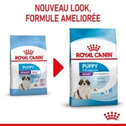 ROYAL CANIN Giant Chiot Croquettes Chien 3,5 Kg -Meilleure Animalerie 686d72667fcca0f2fa93301968b9021cc9190d61 1278345 fr FR puppygiant 1