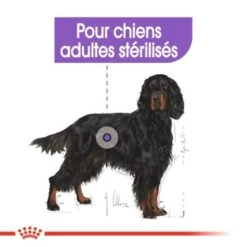 ROYAL CANIN Sterilised Maxi 3 Kg -Meilleure Animalerie 6be4c1c05f7161ed3b1296ac622d6d43749d9809 fe14aad3f5d2b4621474cd96ca468e66f55cab59
