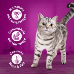 Whiskas Adult 1+ Sauce 12 X 400 G Volaille -Meilleure Animalerie 6d2c88017c3d7f3676c3f488dff20d132e003d1b 1099235 de DE 04008429033971 C1LM s03 v01 3 1
