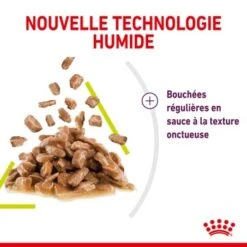 ROYAL CANIN Sensory Smell Nourriture Humide Chat 12 X 85 G -Meilleure Animalerie 6d51cac486038beb51ae1460d5d7428ef3af979e 1368003 fr FR smellgravy 4