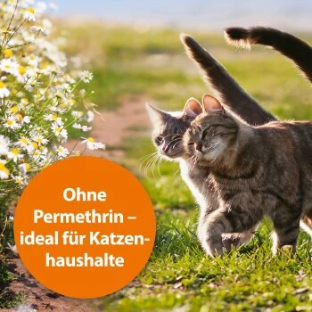 Quiko ARDAP GREEN Spray Contre Les Insectes 750 ml 6 Quiko ARDAP GREEN Spray Contre Les Insectes 750 ml – Image 4