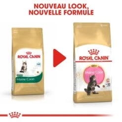 ROYAL CANIN Maine Coon Chaton Croquettes Chat 4 Kg -Meilleure Animalerie 6d8e40436b1eca9c93c12f428458011c5fb8eed2 1044102 fr FR maincoonkitten 6