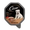Cesar Junior 14 X 150 G -Meilleure Animalerie 6ebde106f105746c7407d66b0b605cdc54baf5df 6855f889fc05a46684542c53a837333251086066
