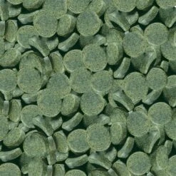 Sera Spirulina Tabs -Meilleure Animalerie 7145ebabc7f79d747ac0b6f5ba409d373a1da1d9 b7e0bafab8b5f34cb94ecf6676b2592f030fe800