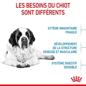 ROYAL CANIN Giant Junior Croquettes Chien 15 Kg 8 ROYAL CANIN Giant Junior Croquettes Chien 15 Kg – Image 6