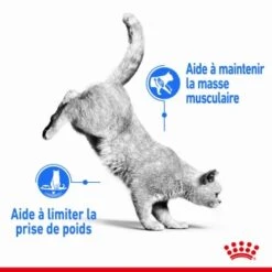 ROYAL CANIN Light Weight Care Nourriture Humide Chat 12 X 85 G En Sauce -Meilleure Animalerie 725ff293bb622cfa1ac84d23af80c1ea28665c31 1099138 fr FR lightweight 2
