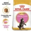 ROYAL CANIN Maine Coon Chaton Croquettes Chat 4 Kg -Meilleure Animalerie 7487b9d67e27e7aae624c9ab8f72250fbf53d27a 1044102 fr FR maincoonkitten 1