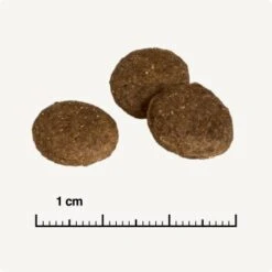 REAL NATURE Country Selection Senior Alpine Dinde Et Bœuf Alpin 12 Kg 12 REAL NATURE Country Selection Senior Alpine Dinde Et Bœuf Alpin 12 Kg -Meilleure Animalerie 753a4bdf08271c904717a55ecd12284d07a07842 1325174 de DE 6