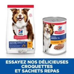 Hill's Science Plan Mature Adult Chien âgé Poulet 14 Kg -Meilleure Animalerie 76695d5d5efb97db3f73f1ef78489a2570347ab8 52742026176 7