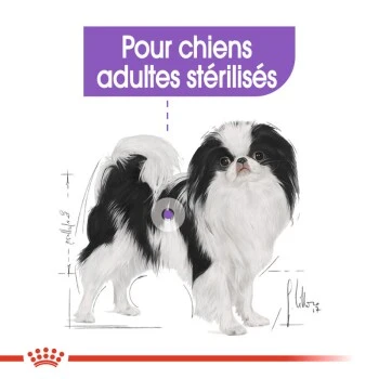 ROYAL CANIN X-Small Sterilised 1,5 kg 7 ROYAL CANIN X-Small Sterilised 1,5 kg – Image 5