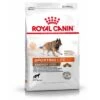 ROYAL CANIN Sporting Life Energy 4300 Trail Chien 15 Kg 1 ROYAL CANIN Sporting Life Energy 4300 Trail Chien 15 Kg -Meilleure Animalerie 7a6f2eebeb9032cdff89f4b4dbe4920987871582 dbc7ad3080c01fcce23819a5c3fea80dcdef5087