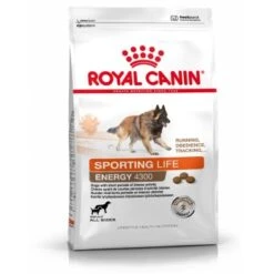 ROYAL CANIN Sporting Life Energy 4300 Trail Chien 15 Kg