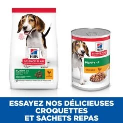 Hill's Science Plan Puppy Medium Au Poulet 14 Kg 16 Hill's Science Plan Puppy Medium Au Poulet 14 Kg -Meilleure Animalerie 7cc9733c3e9dc12e1a7ad90b6c2b1e4332c4d71e 52742025728 7
