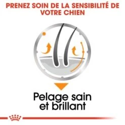 ROYAL CANIN Coat Care Nourriture Humide Chien 12 X 85 G 13 ROYAL CANIN Coat Care Nourriture Humide Chien 12 X 85 G -Meilleure Animalerie 7e08646aabd8fcc4c207fc4852fccdb7df18544f 1317076 fr FR coatwet 5