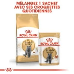 ROYAL CANIN British Shorthair Adulte Croquettes Chat 10 Kg -Meilleure Animalerie 83c4bdd34ad27a9148fd769177cab8894ee89b89 1003122009 fr FR rc british shorthair