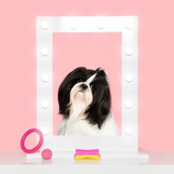 New Flag Pet Teezer Detangling Rose 4 New Flag Pet Teezer Detangling Rose – Image 2