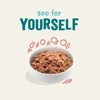 Edgard & Cooper Senior Poulet Et Saumon ASC 6 x 400 g 5 Edgard & Cooper Senior Poulet Et Saumon ASC 6 x 400 g – Image 3