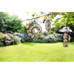 AniOne Distributeur Circulaire De Nourriture Pour Boules De Graisse -Meilleure Animalerie 85ad390b897622a977d21b19619f0d4c859f150c e91ebf29378936003f65da573727fa9335545737