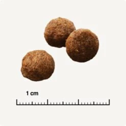 SELECT GOLD Sensitive Mini Adult Saumon & Pommes De Terre 1 Kg -Meilleure Animalerie 863d9e119c65c5f188ec55f25038124f2c53f43c 1001743005 de DE 6