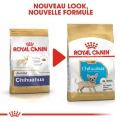 ROYAL CANIN Chihuahua Chiot Croquettes Chien 1,5 Kg -Meilleure Animalerie 876a9a4341af35343104eb842b9d0fa9d05921c5 1032298 fr FR chihupup 8