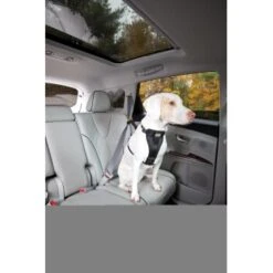 Kurgo Harnais De Sécurité XS -Meilleure Animalerie 87813e7da78344d76194991149b2935972cb3fc9 9b7a4549d6992d8434083c74ff0b43057fd79273