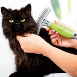 Moser Étrille Sous-poil Pour Chien -Meilleure Animalerie 879363624abe1debfd4aacd9fb06508634057677 c263886079358db26ab9ea28a7324f894c02436c