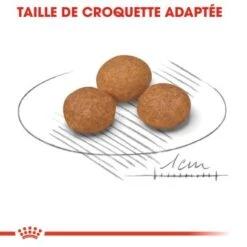 ROYAL CANIN X-Small 8+ Croquettes Chien 1,5 Kg 15 ROYAL CANIN X-Small 8+ Croquettes Chien 1,5 Kg -Meilleure Animalerie 8823bff038f857de7641ac43530344ba780552c3 e716b483b13a8d00da9fd57bf352f0bf97459363