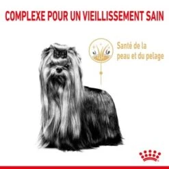 ROYAL CANIN Yorkshire Terrier 8+ Croquettes Chien 3 Kg -Meilleure Animalerie 88881639f82f632d9154dc39f11466a589762ed4 1332697 fr FR yorikesenior 5 Kopie