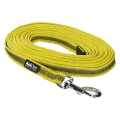 AniOne ANIO Laisse Jaune 5 M