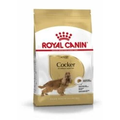 ROYAL CANIN Cocker Adulte Croquettes Chien 3 Kg -Meilleure Animalerie 8b0c1a003eec0045a7a1328f79a26bc2f6662cf6 1007543 fr FR cocker 1