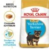 ROYAL CANIN Yorkshire Terrier Chiot Croquettes Chien 1,5 Kg 2 ROYAL CANIN Yorkshire Terrier Chiot Croquettes Chien 1,5 Kg -Meilleure Animalerie 8bd92de03e4a57ca3a40286970216a14649ff8f4 1031761 fr FR yorkiepup 2