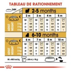 ROYAL CANIN Yorkshire Terrier Chiot Croquettes Chien 1,5 Kg -Meilleure Animalerie 8cb3b10e1e56cc5d5ff3c4591f8b7352be17eedc 1031761 fr FR yorkiepup 7